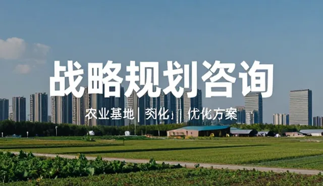 信息咨询在商务场景中的选型误区与应对策略